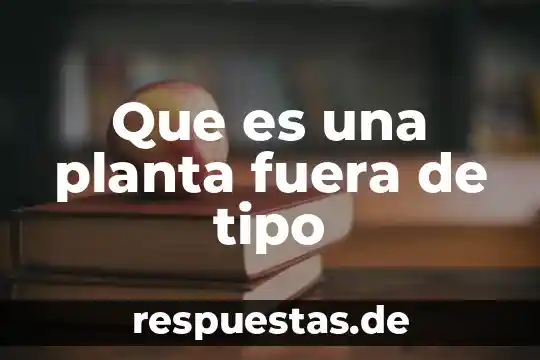 Que es un tiempo fuera 4 Que es una planta fuera de tipo