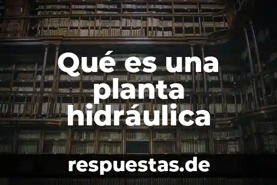 ¿Qué es árbol planta hulífera? 8 Qué es una planta hidráulica