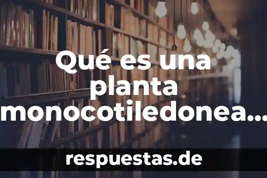 Que es la planta alcaravea 3 Qué es una planta monocotiledonea ejemplos