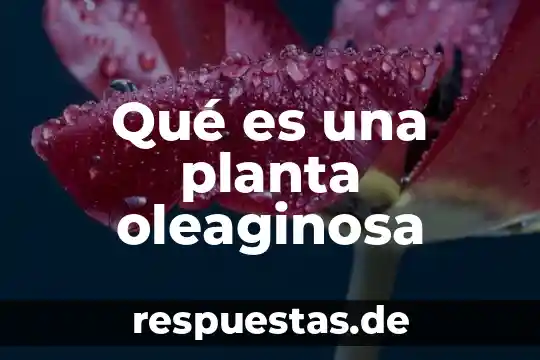Que es una vista de planta arquitectonica 6 Qué es una planta oleaginosa