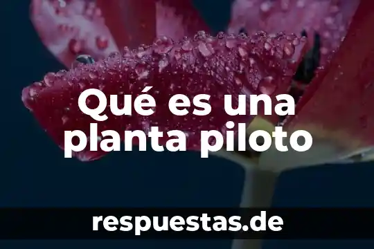 Que es la planta sanagachi 8 Qué es una planta piloto