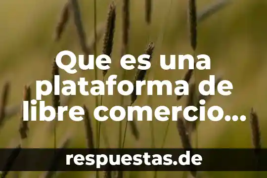 Que es principio de libre concurrencia y competencia 4 Que es una plataforma de libre comercio y compradas