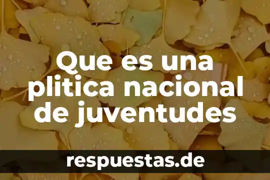 Que es la soberania popular y nacional 5 Que es una plitica nacional de juventudes