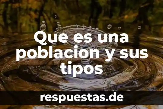Qué es población y plan de trabajo en metodología 6 Que es una poblacion y sus tipos