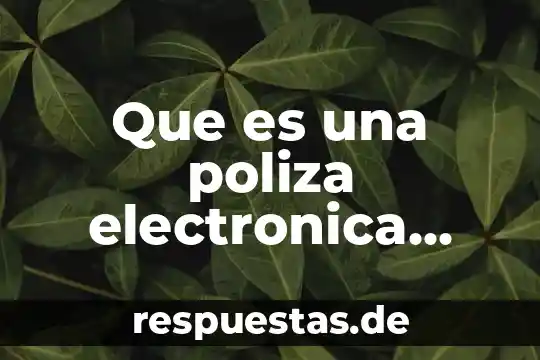¿Qué es la socioafectivo concepto? 5 Que es una poliza electronica mexico