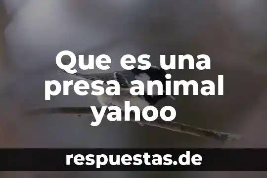Que es una celulas animal y sus partes 6 Que es una presa animal yahoo
