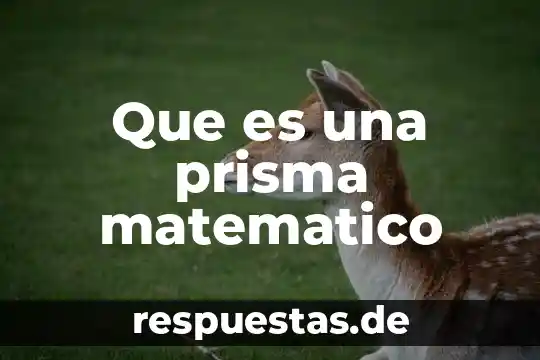 Que es la idea global de un libro 3 Que es una prisma matematico
