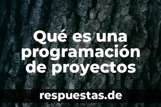 Que es la evaluacion de proyectos educativos 6 Qué es una programación de proyectos