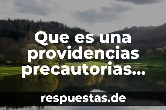 Que es la ley de sociedad mercantil 5 Que es una providencias precautorias en materia mercantil