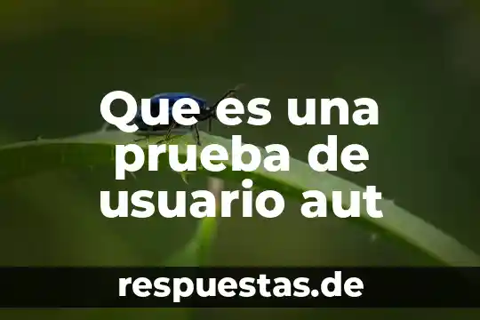 Que es el nombre de usuario del autor 3 Que es una prueba de usuario aut
