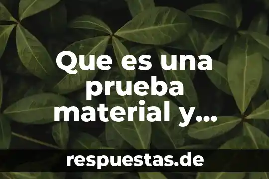 Que es la prueba de tyndall 3 Que es una prueba material y documental