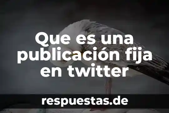 Que es ser alguien que se fija en los detalles 5 Que es una publicación fija en twitter