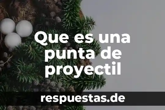 Qué es intacto significado 6 Que es una punta de proyectil