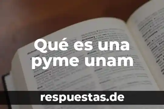 Qué es una pyme unam
