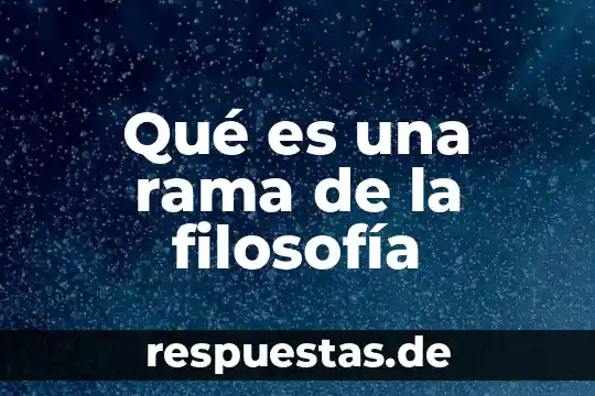 Que es decoro en filosofia 5 Qué es una rama de la filosofía