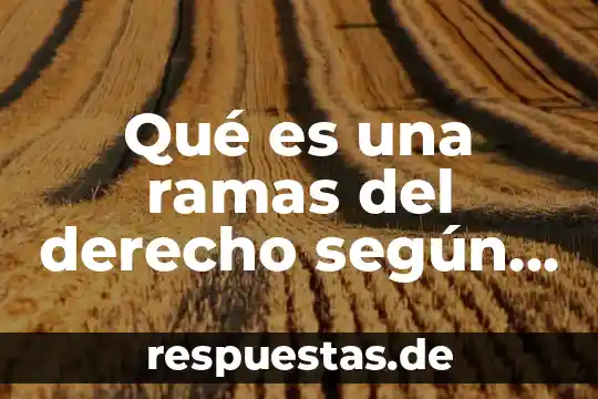 Ficha tecnica que es justicia hans kelsen 4 Qué es una ramas del derecho según hans kelsen