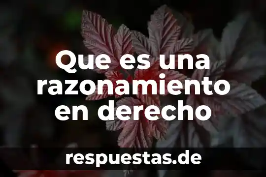 Que es una razonamiento en derecho