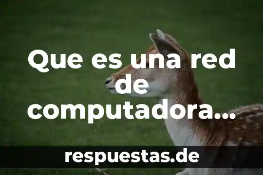 Relato de que es computadora 6 Que es una red de computadora wan
