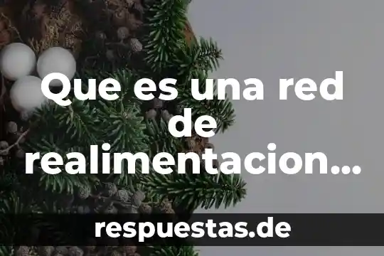 Qué es la teoría de flojisto 8 Que es una red de realimentacion en electronica