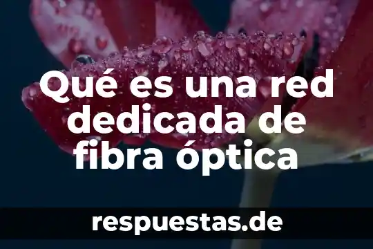 Historia sobre que es la óptica 4 Qué es una red dedicada de fibra óptica