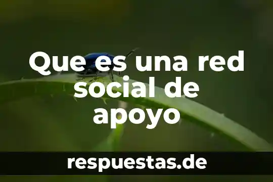 Que es una red social de apoyo