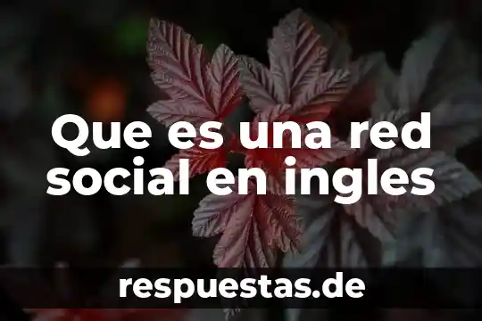 Que es una red social en ingles