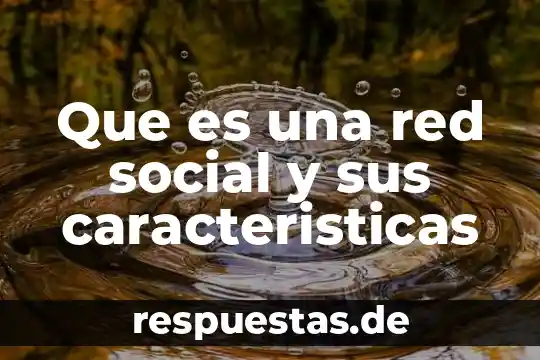 Que es una red social y sus caracteristicas