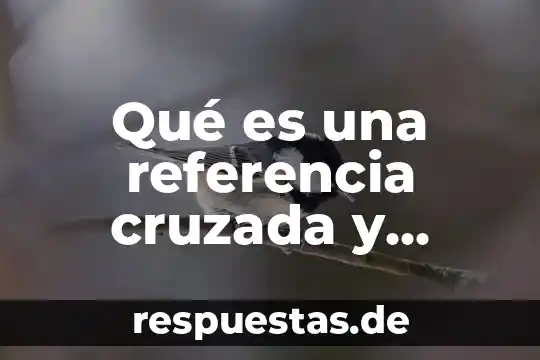 Qué es una referencia cruzada y ejemplos