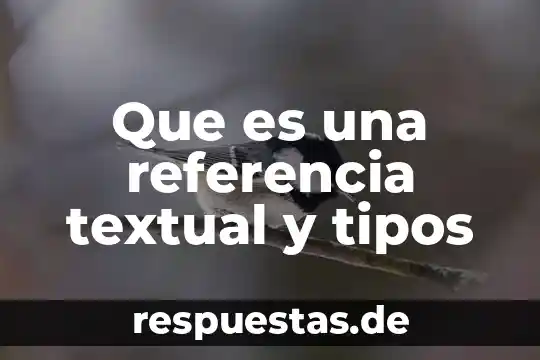 Qué es referencia absoluta en informática 4 Que es una referencia textual y tipos