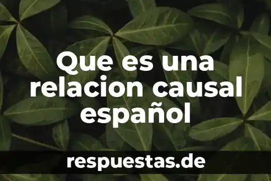 Que es una relación causal planeación 7 Que es una relacion causal español