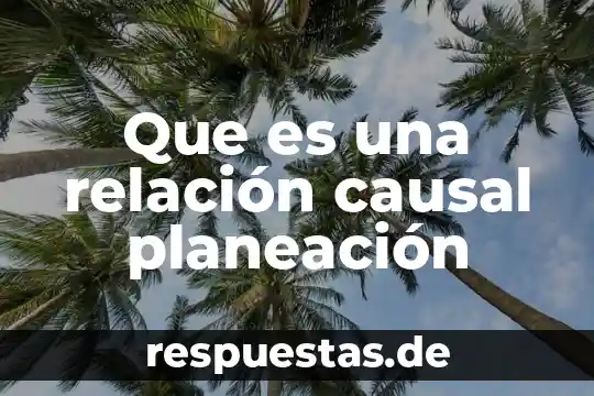 Que es una relacion causal español 4 Que es una relación causal planeación