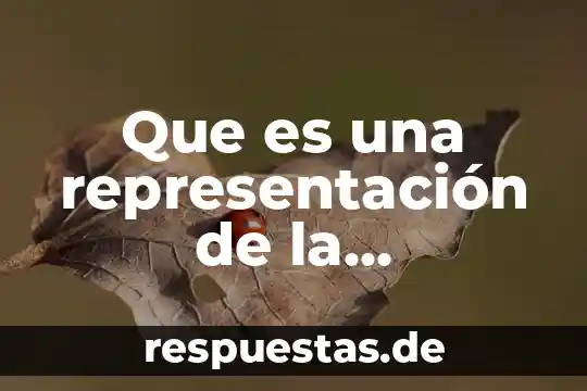 Qué es una representación social en psicología 5 Que es una representación de la comunicación kinetica