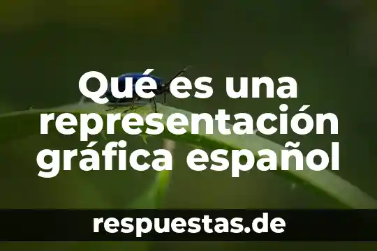 Qué es una representación social en psicología 8 Qué es una representación gráfica español