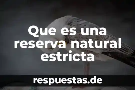 Que es u conductor de electricidad 5 Que es una reserva natural estricta