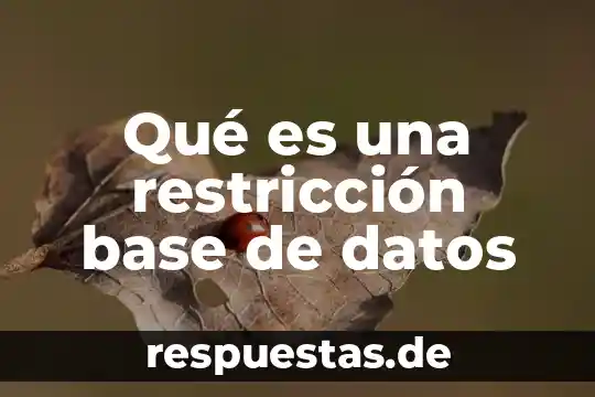 Qué es la teoría de datos 8 Qué es una restricción base de datos