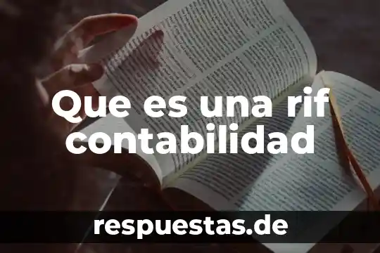 Que es el ente publico en la contabilidad gubernamental 6 Que es una rif contabilidad