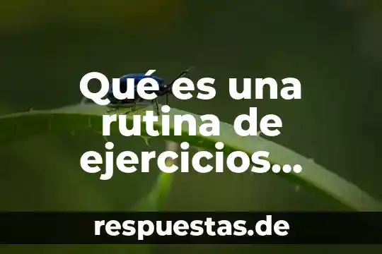 Qué es solvente en química ejercicios resueltos 6 Qué es una rutina de ejercicios concepto