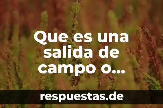 Que es una salida ssr 3 Que es una salida de campo o pedagogica