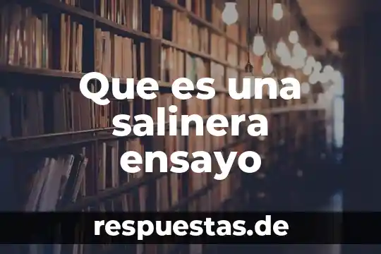 Qué es un ensayo y cómo está compuesto 8 Que es una salinera ensayo