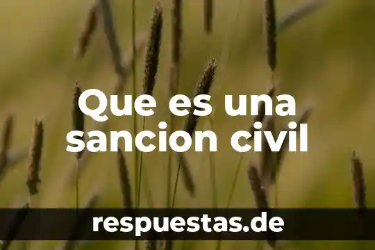 Que es la acción antijuridica y la sanción 8 Que es una sancion civil