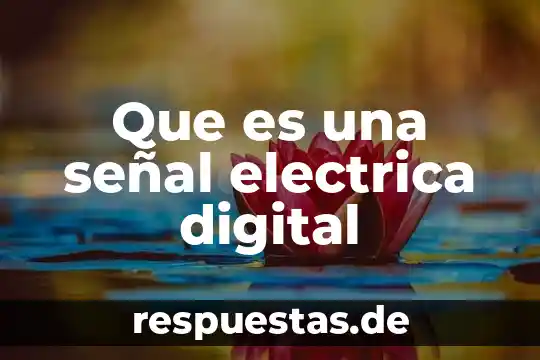 Que es un formato de publicidad digital 5 Que es una señal electrica digital
