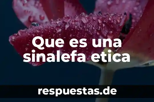 Que es la teoría ética deontológica 8 Que es una sinalefa etica