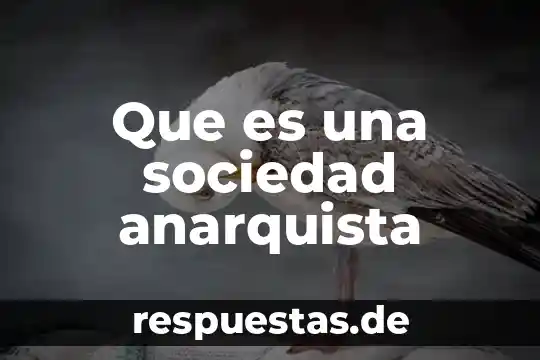 Que es la codificación en sociedad 8 Que es una sociedad anarquista