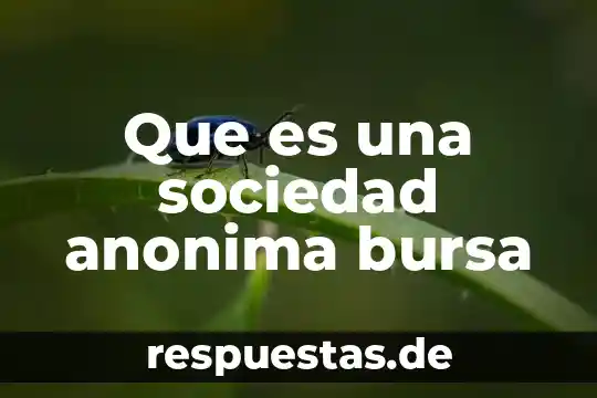 Que es una sociedad frag 8 Que es una sociedad anonima bursa