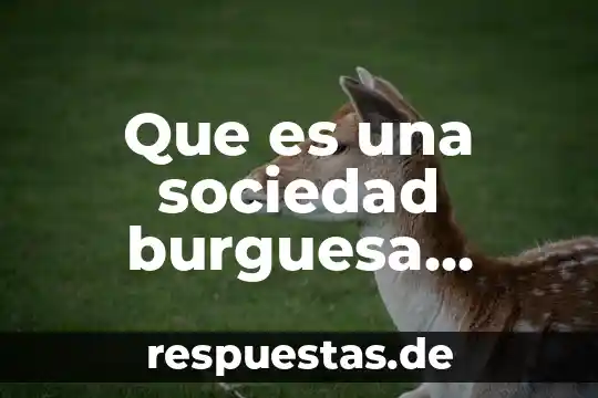Sociedad capitalista que es 3 Que es una sociedad burguesa capitalista