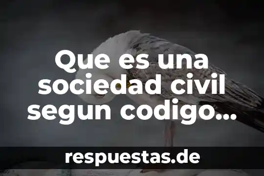 Qué es la administración y suspensión de la sociedad 4 Que es una sociedad civil segun codigo civil