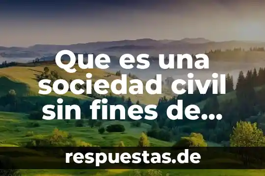 Que es lucro para el derecho 5 Que es una sociedad civil sin fines de lucro
