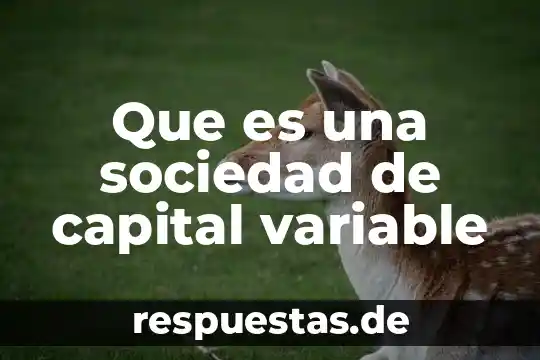 Qué es la sociedad inclusiva 3 Que es una sociedad de capital variable
