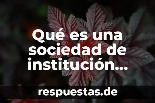 Que es una institucion gubernamental definicion 4 Qué es una sociedad de institución bancaria múltiple