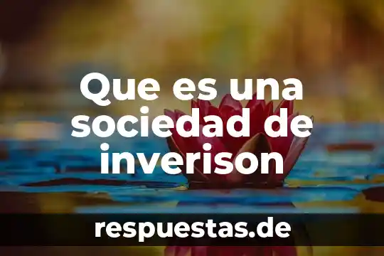 Democratización radical de la sociedad americana que es 3 Que es una sociedad de inverison